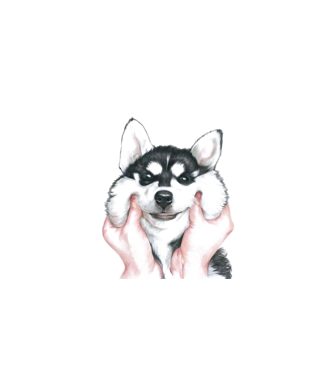Husky minta fehér pólón
