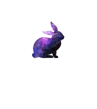 Galaxis nyuszi minta fehér pólón