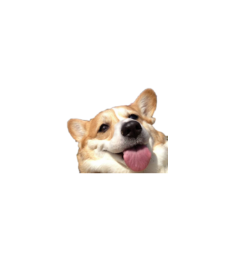 Corgi minta szürke pólón