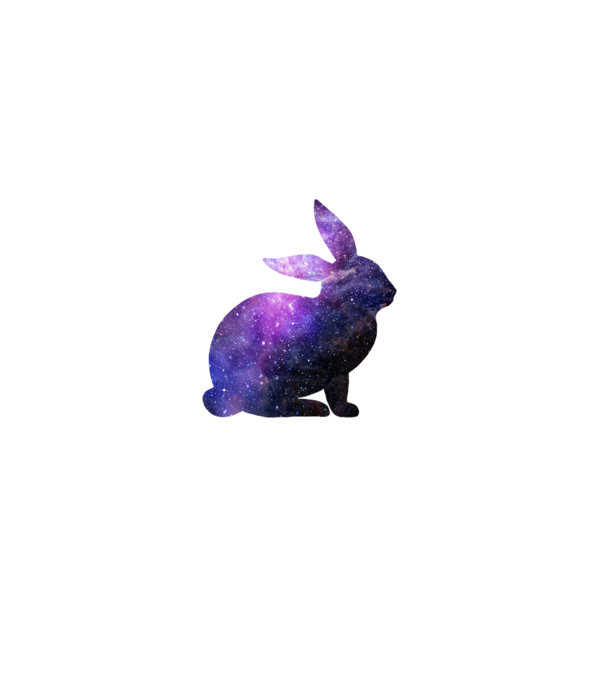 Galaxis nyuszi minta fehér pólón