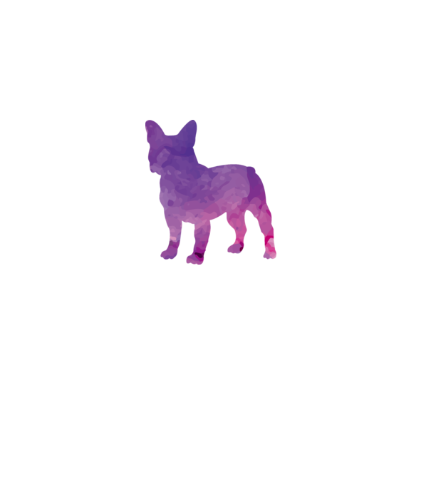 Francia bulldog minta fehér pólón