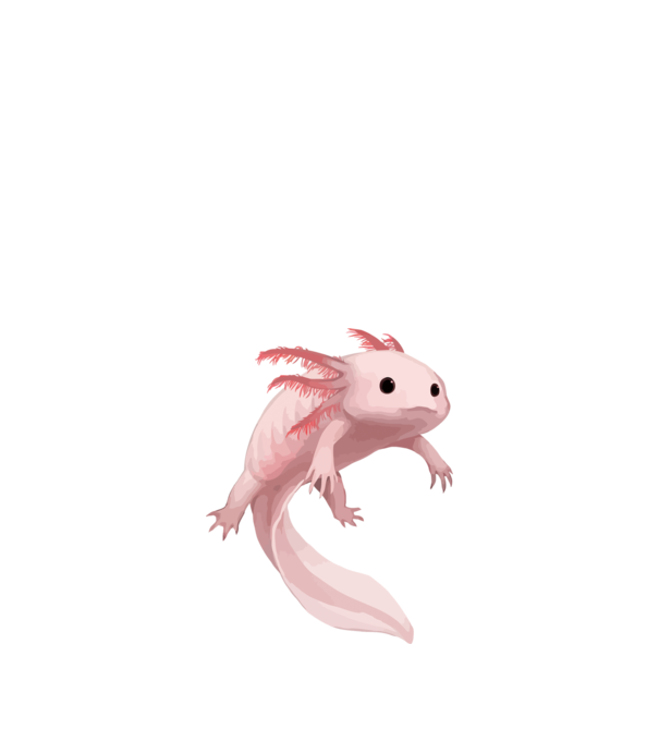 Axolotl minta fehér pólón