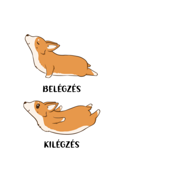 Corgi yoga - fekete betűvel minta világoskék pólón
