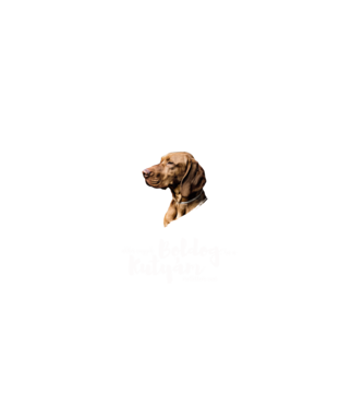 Akkor vagyok boldog, ha a kutyám mellettem van - Vizsla minta fehér pólón