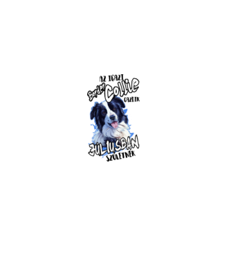 Border Collie Július minta fehér pólón
