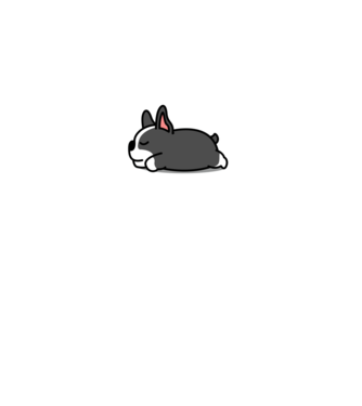 Boston terrier nope not today minta fekete pólón