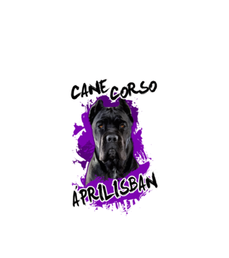 Cane Corso Április minta fehér pólón
