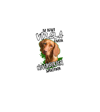Vizsla Novemberben minta fehér pólón