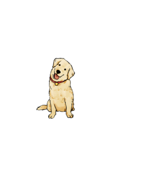 Adidogs Golden retriever - fehér minta fekete pólón