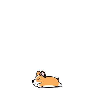 Corgi Nope Not Today  minta fehér pólón