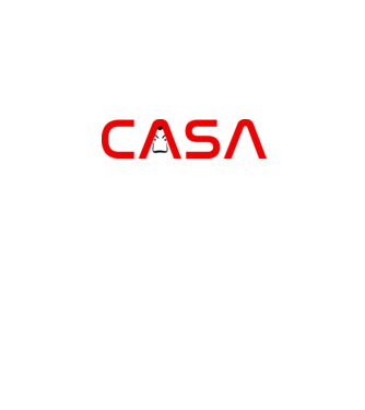 CASA - NASA minta szürke pólón