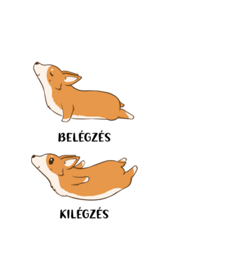 Corgi yoga - fekete betűvel minta fehér pólón