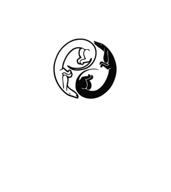 Yin Yang Tacsi minta fehér pólón