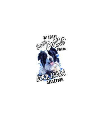 Border Collie Április minta fehér pólón
