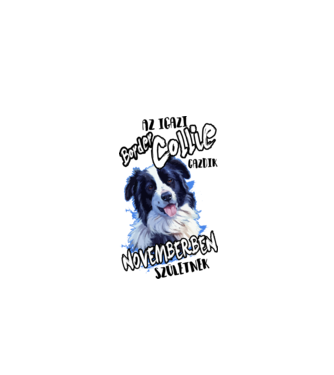 Border Collie November minta fehér pólón
