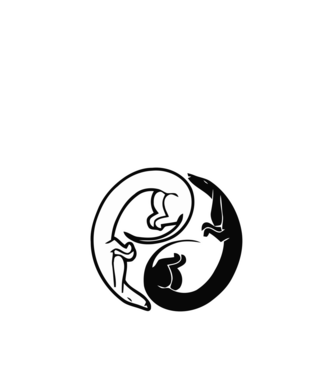 Yin Yang Tacsi minta homokszín pólón