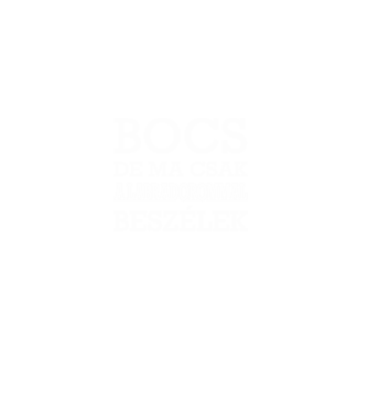 Labradorommal beszélek minta szürke pólón