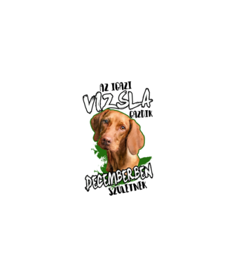 Vizsla Decemberben minta fehér pólón