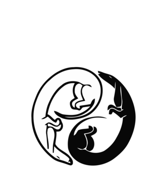 Yin Yang Tacsi minta fehér pólón