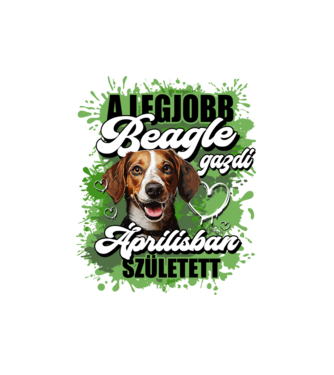 A legjobb Beagle gazdi áprilisban született minta fehér pólón
