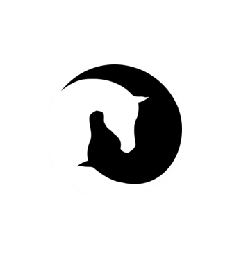 Jin-jang ló minta fehér pólón