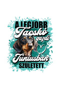 A legjobb tacskó gazdi júniusban született minta fekete pólón