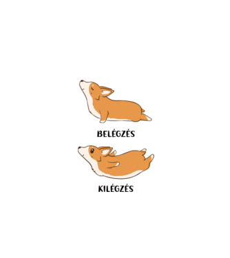 Corgi yoga - fekete betűvel minta fehér pólón