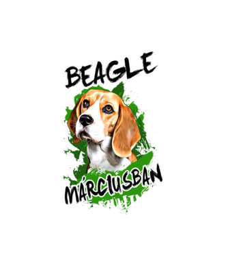 Beagle Március minta fehér pólón