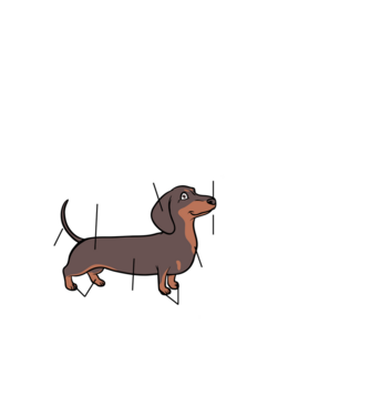 Barna Tacskó anatómia - fehér betűkkel minta fekete pólón
