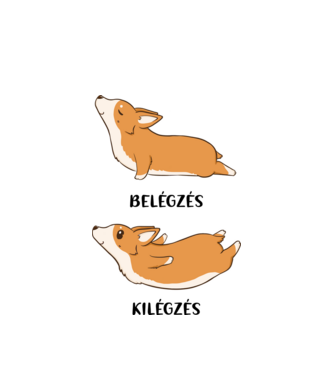 Corgi yoga - fekete betűvel minta fehér pólón
