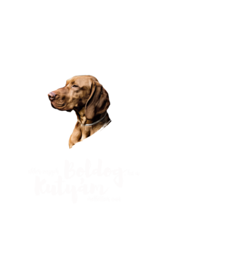 Akkor vagyok boldog, ha a kutyám mellettem van - Vizsla minta fehér pólón