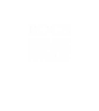 Labradorommal beszélek minta szürke pólón