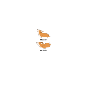 Corgi yoga - fekete betűvel minta fehér/piros pólón