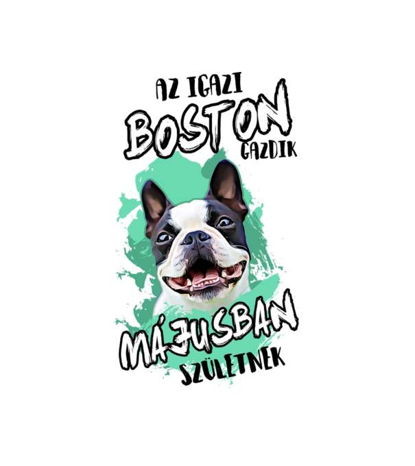 Boston terrier Május minta fehér pólón