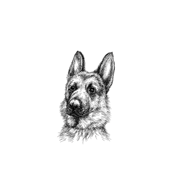German Shepherd Face - 2 minta fehér pólón