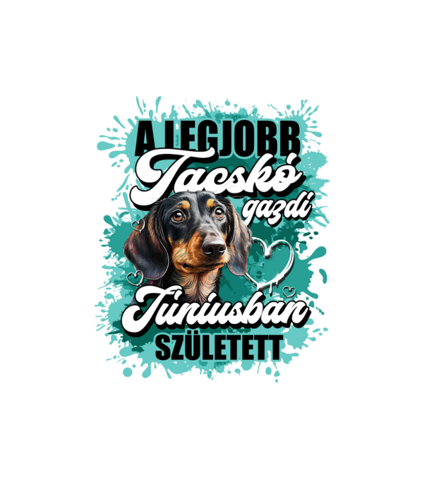 A legjobb tacskó gazdi júniusban született minta fehér pólón