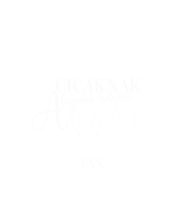 A cicáknak a legjobb helyük a gazdájuk szívében van! minta fekete pólón