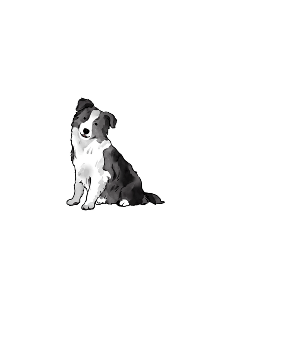 Adidogs Border Collie - fehér minta fekete pólón