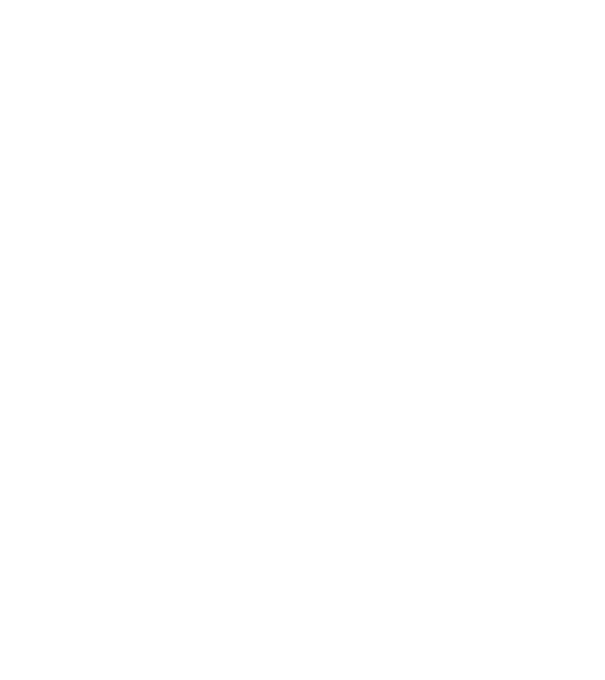 2020 az év amikor kutya gazdi lettem  minta szürke pólón