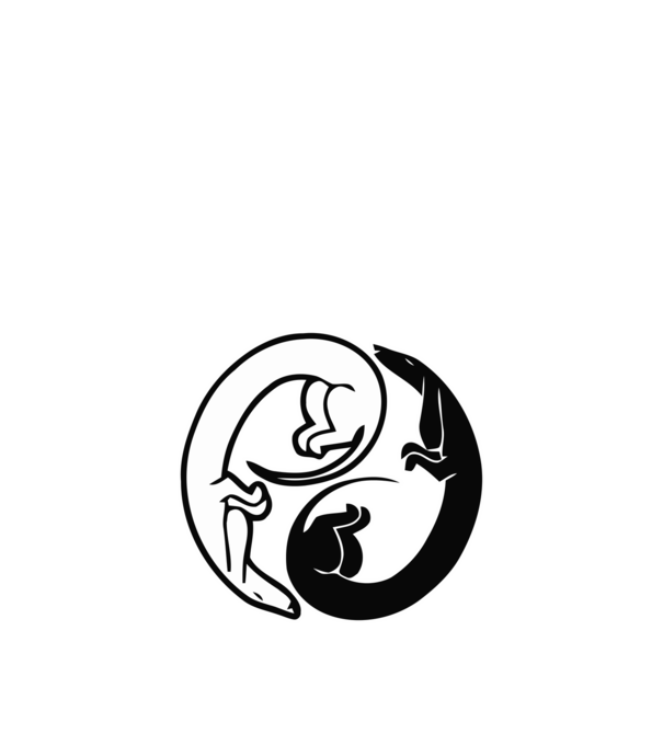 Yin Yang Tacsi minta homokszín pólón