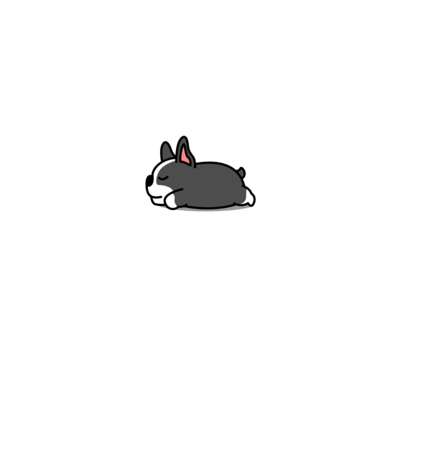 Boston terrier nope not today minta fekete pólón