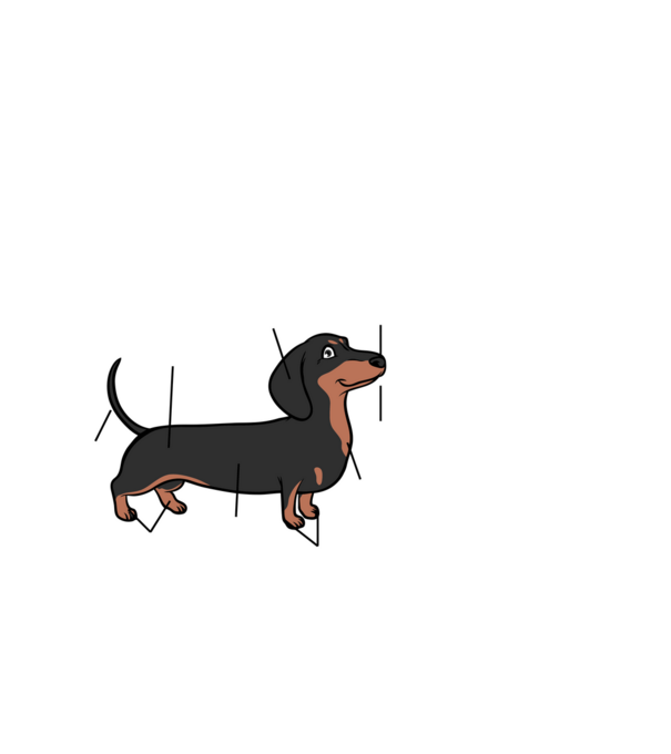Cser Tacskó anatómia - fehér betűkkel minta fehér pólón