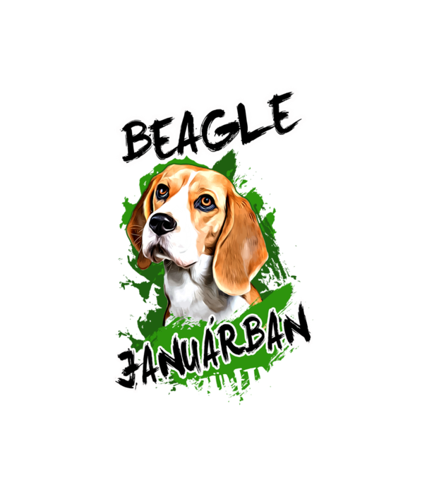 Beagle Januar minta fehér pólón