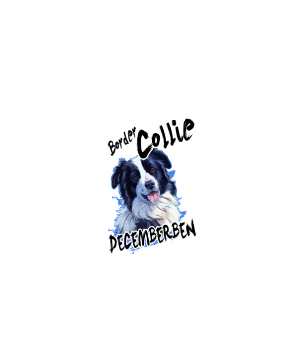 Border Collie December minta fekete pólón