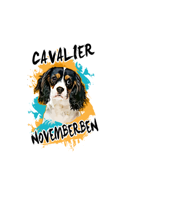 Az igazi CAVALIER gazdik NOVEMBERben születnek minta fehér pólón
