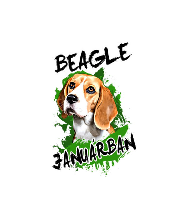 Beagle Januar minta fehér pólón