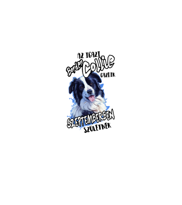 Border Collie Szeptember minta fehér pólón
