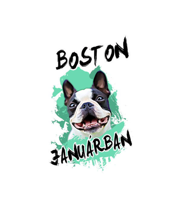 Boston terrier January minta fehér pólón