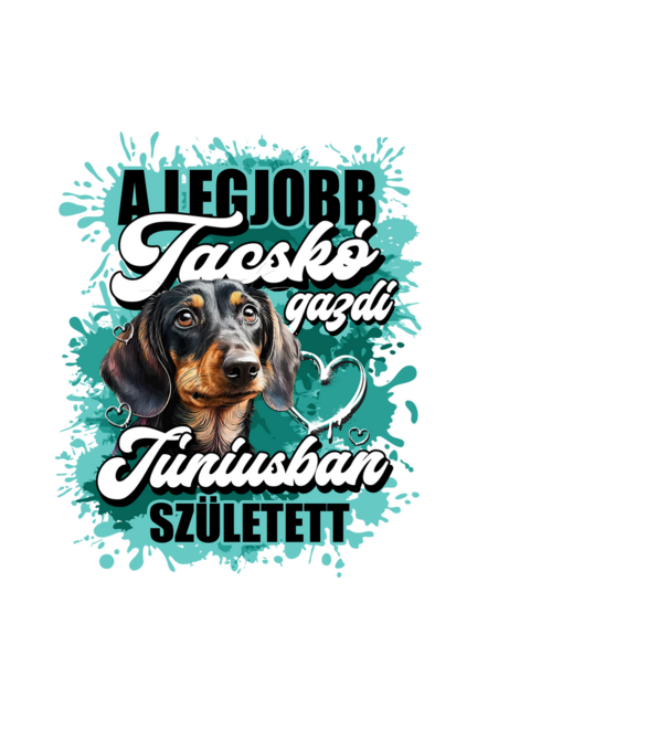 A legjobb tacskó gazdi júniusban született minta fekete pólón