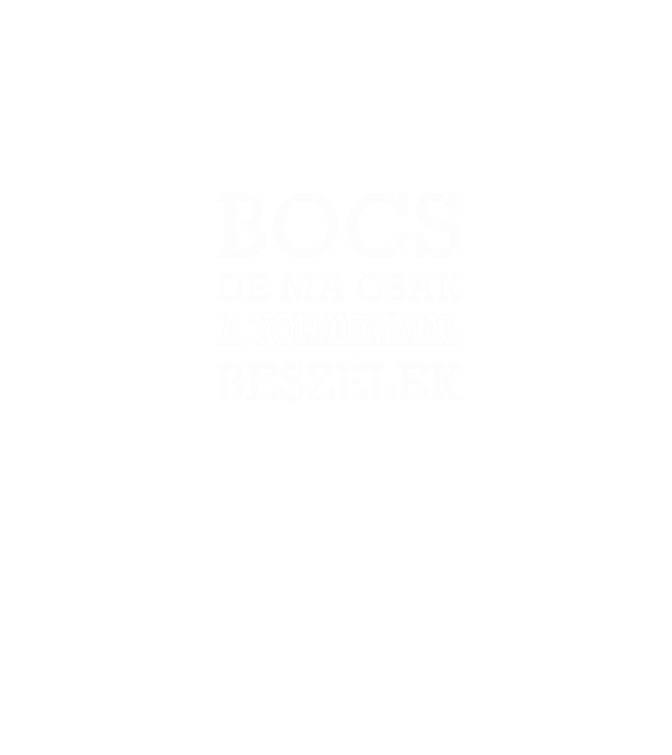 Yorkiemmal beszélek minta szürke pólón